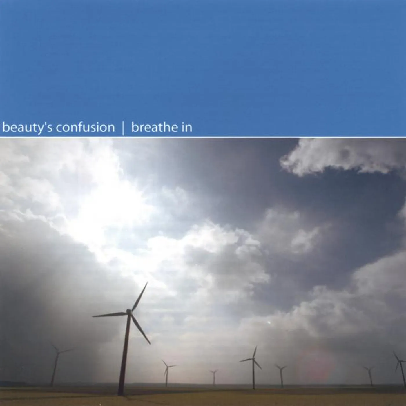 Beauty's Confusion Brand Page