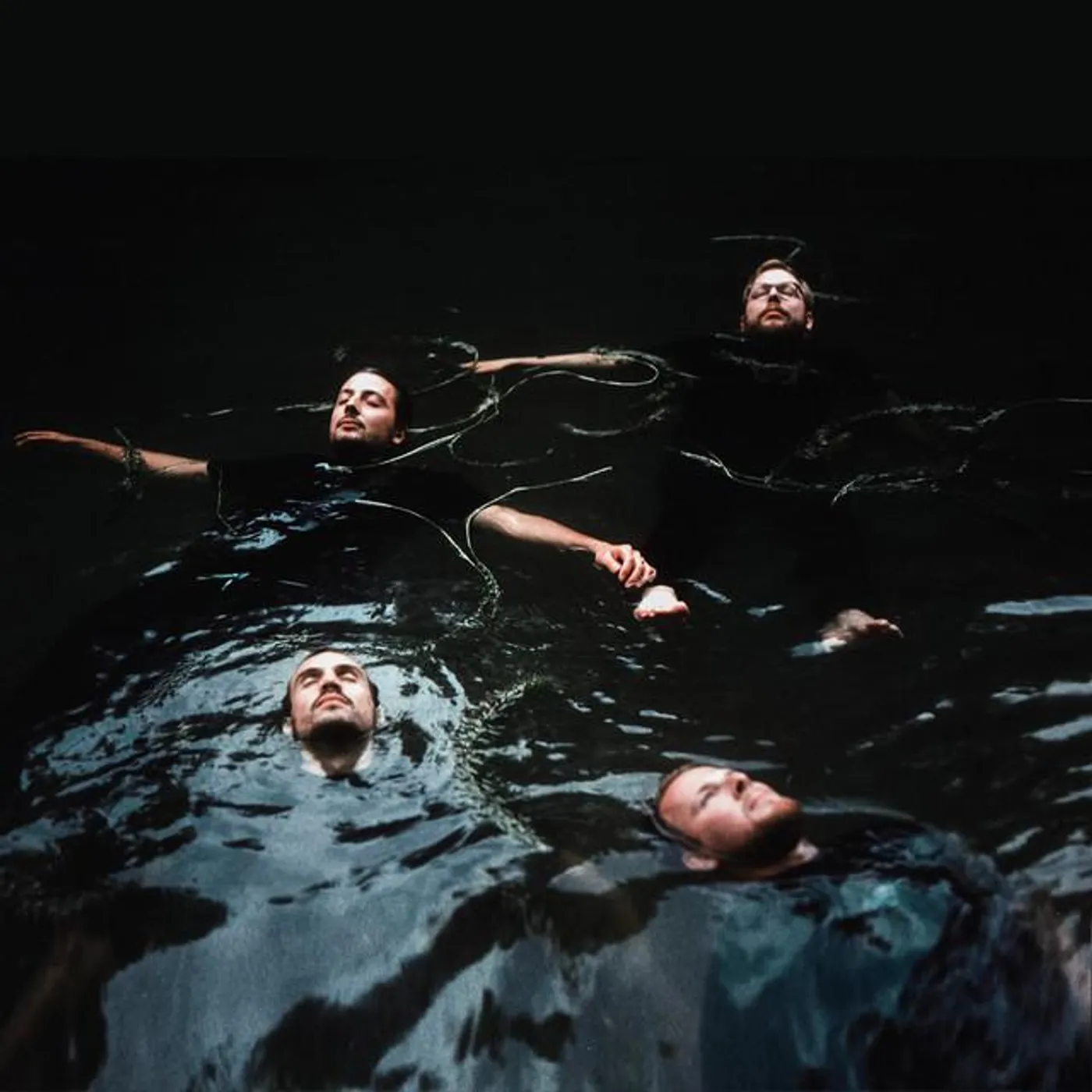 Bees Made Honey in the Vein Tree Brand Page