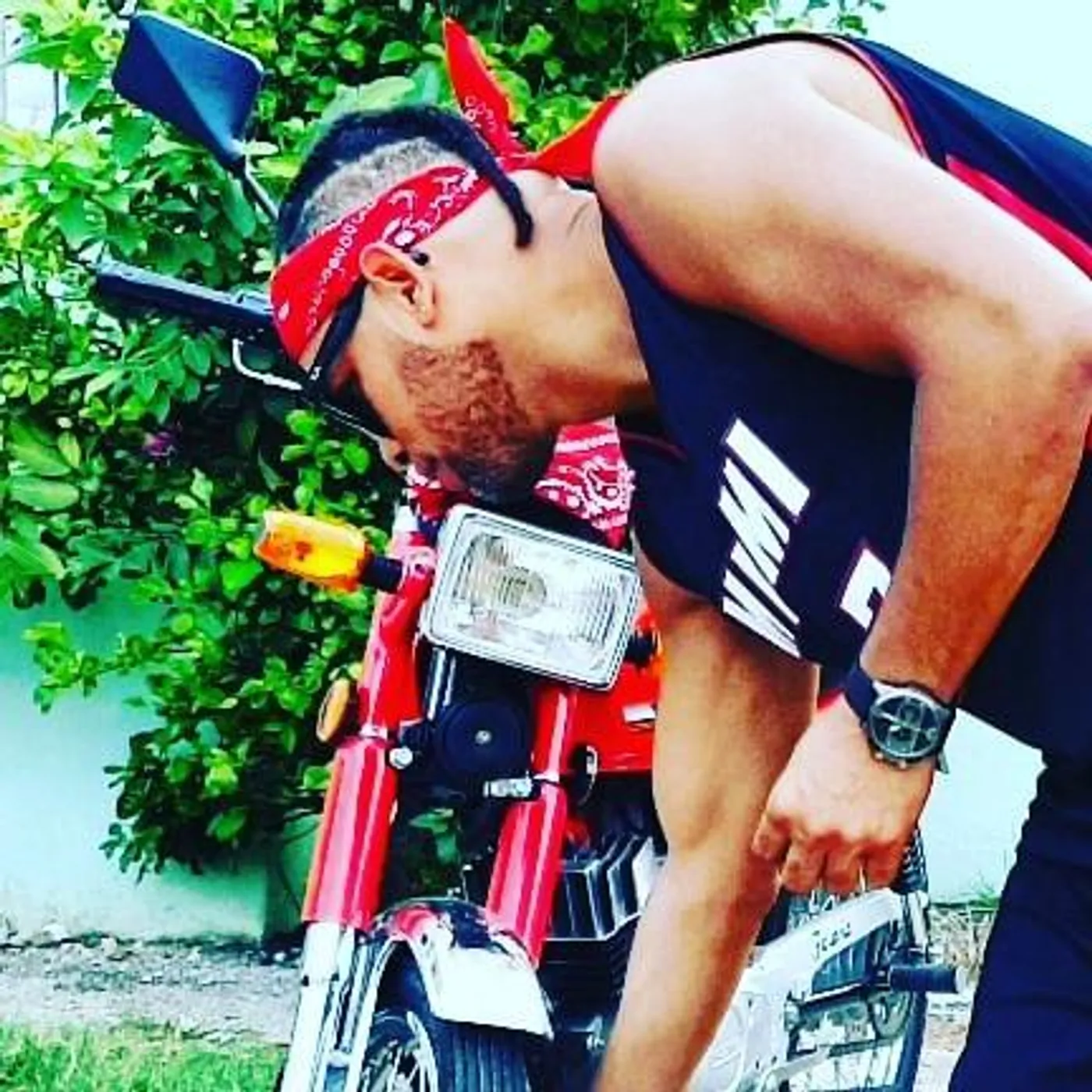 Beethoven Villaman Brand Page