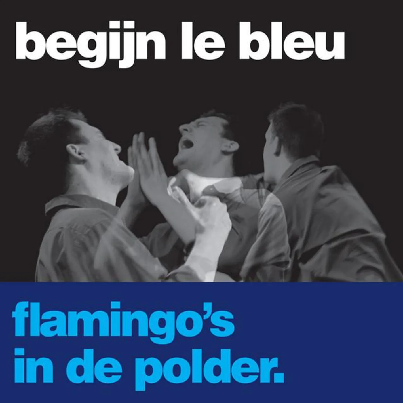 Begijn Le Bleu Brand Page