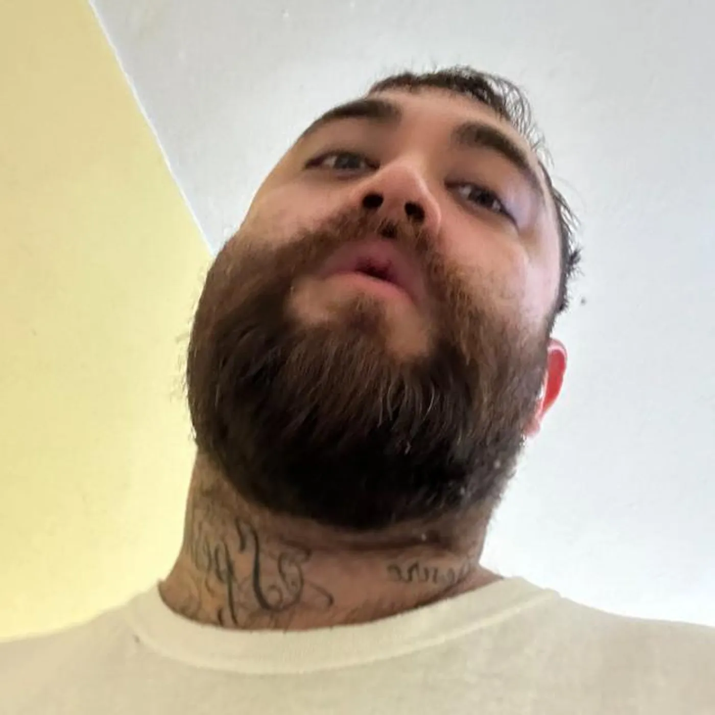 Ben Bondy Brand Page