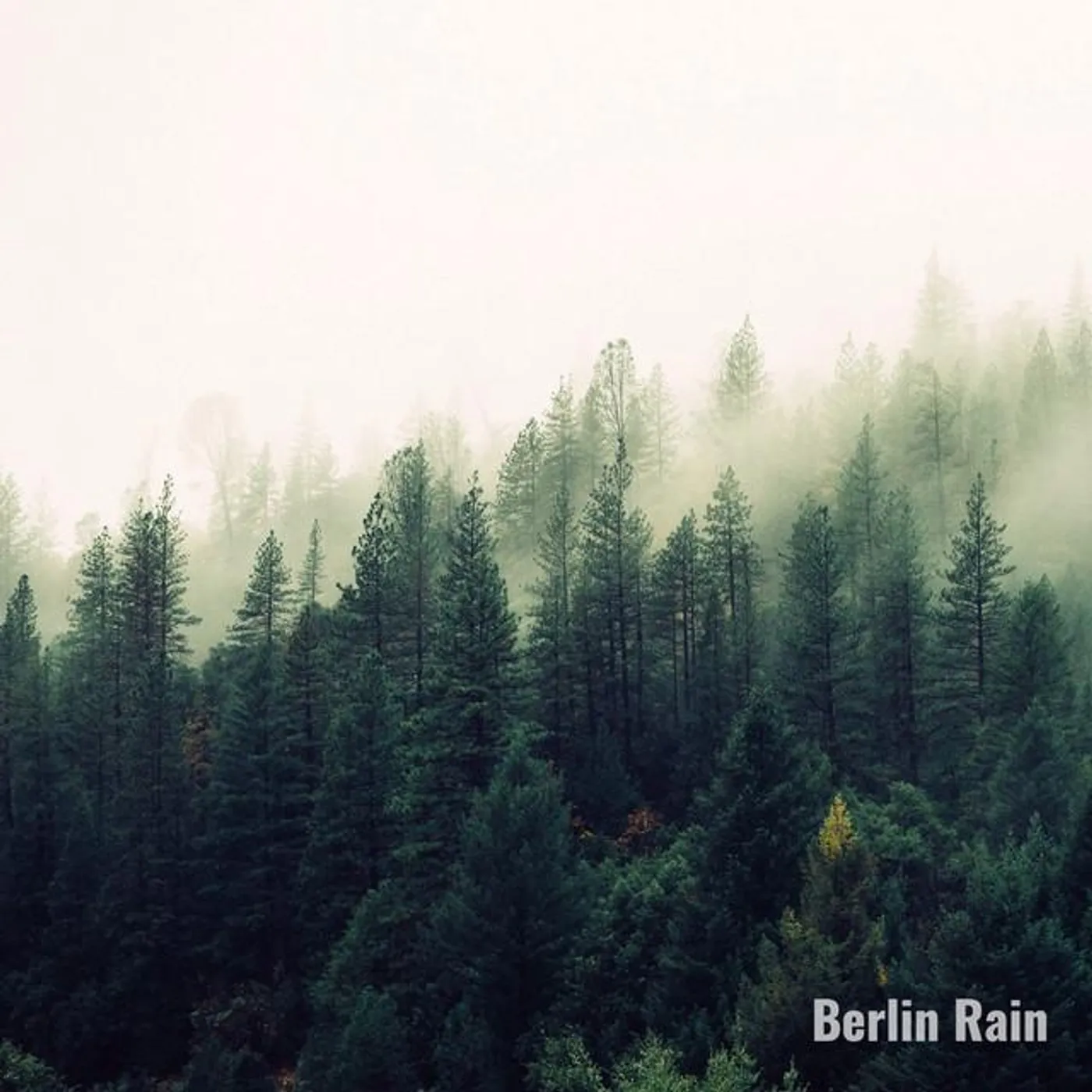 Berlin Rain Brand Page
