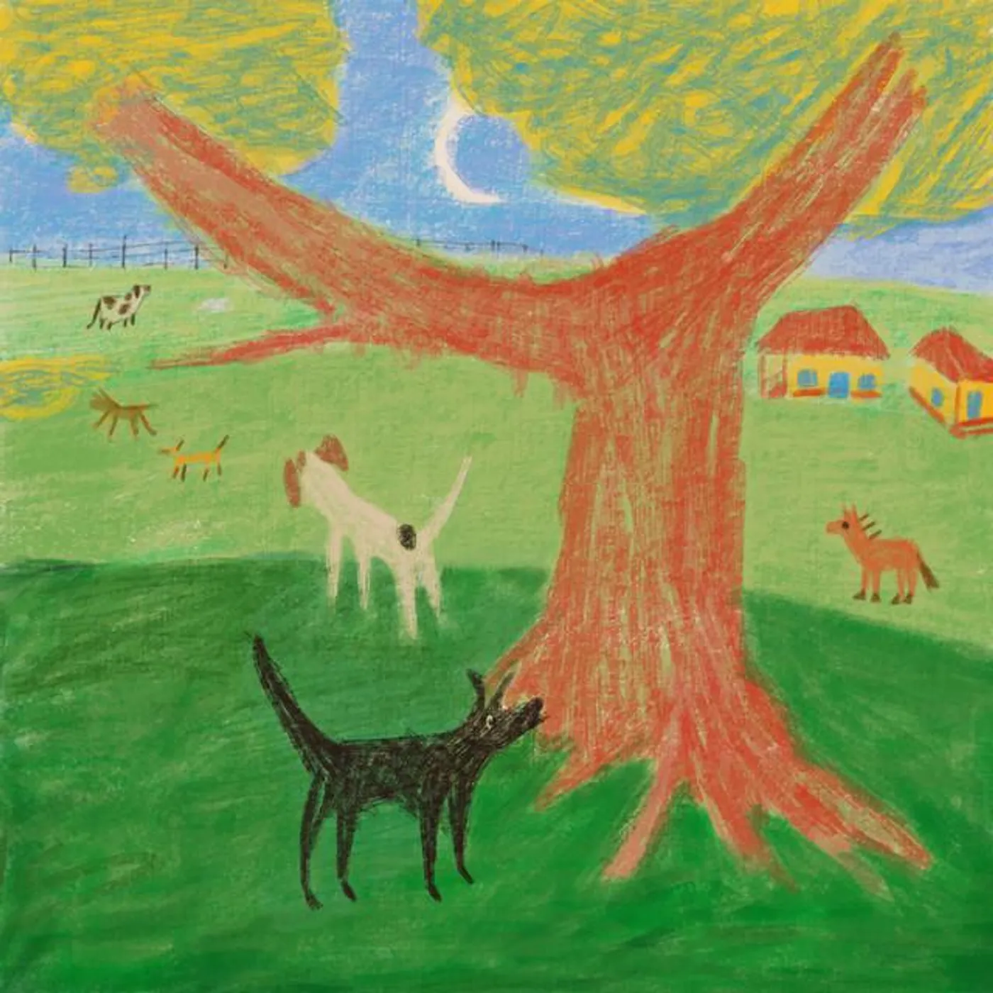 Bernardo Bauer Brand Page