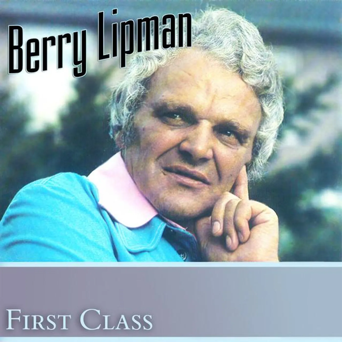 Berry Lipman Orchestra Brand Page