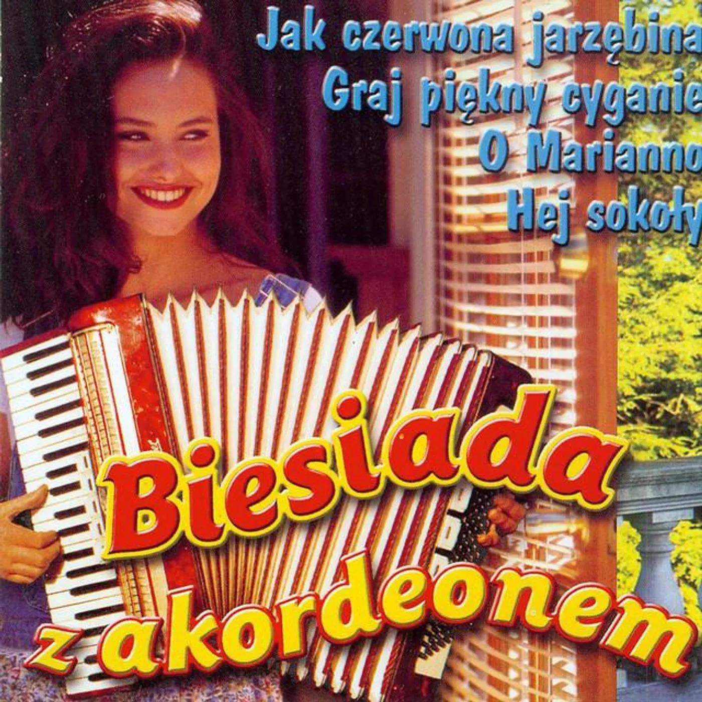 Biesiada z akordeonem Brand Page