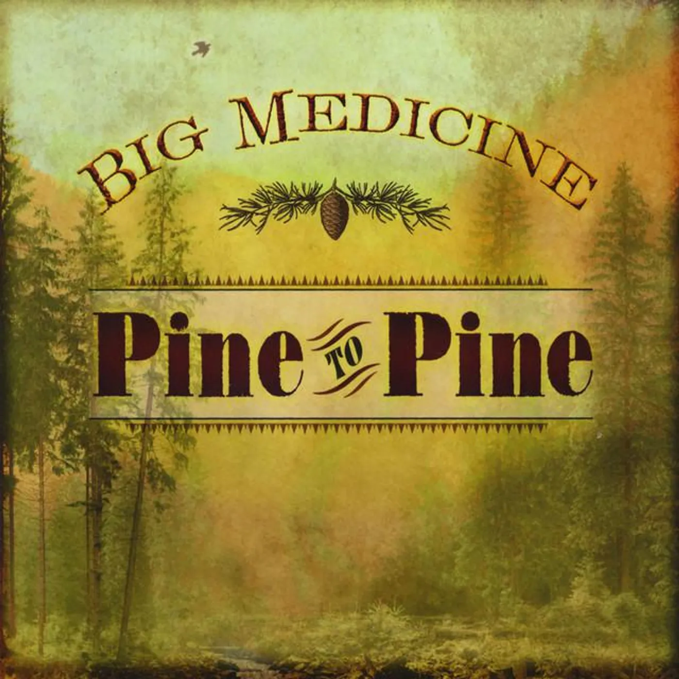 Big Medicine Brand Page