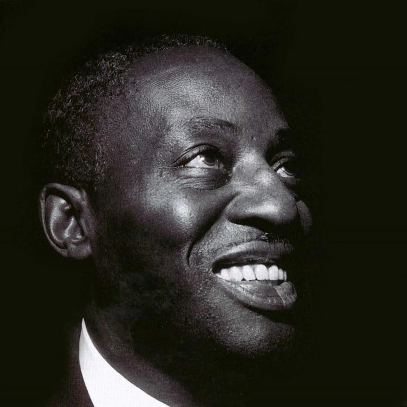 Big Bill Broonzy Brand Page