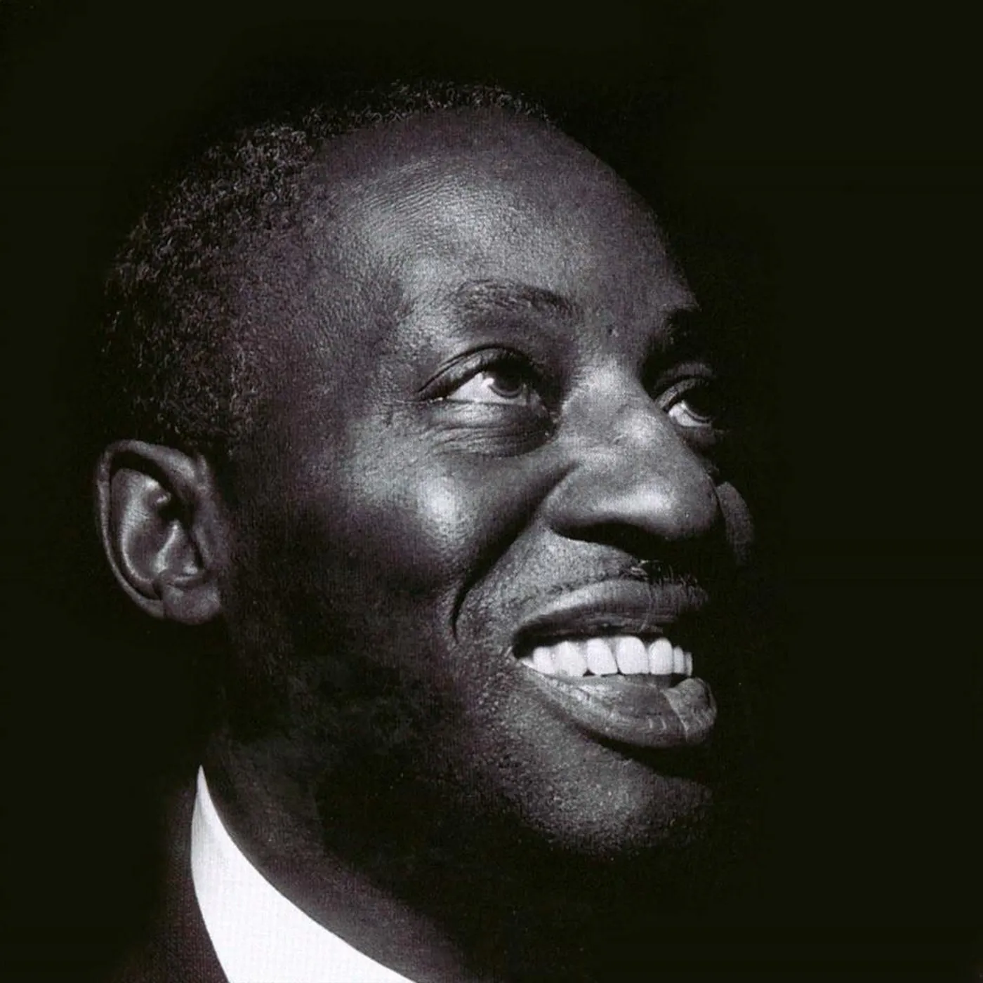 Big Bill Broonzy Brand Page