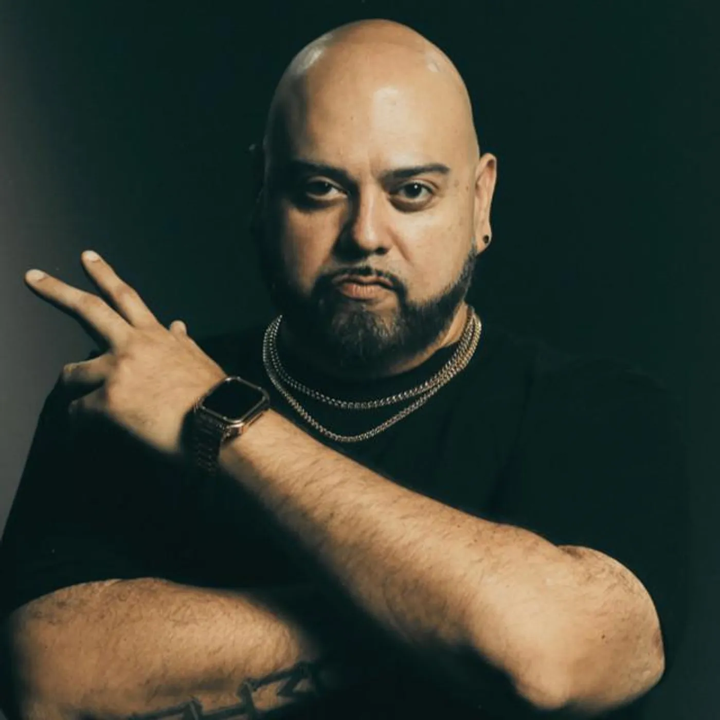 Big Gemini Brand Page