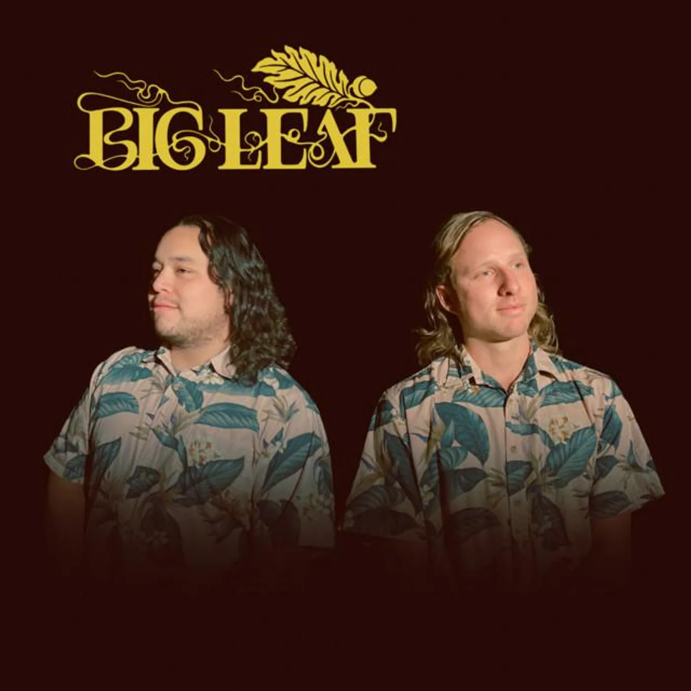 Big Leaf Brand Page