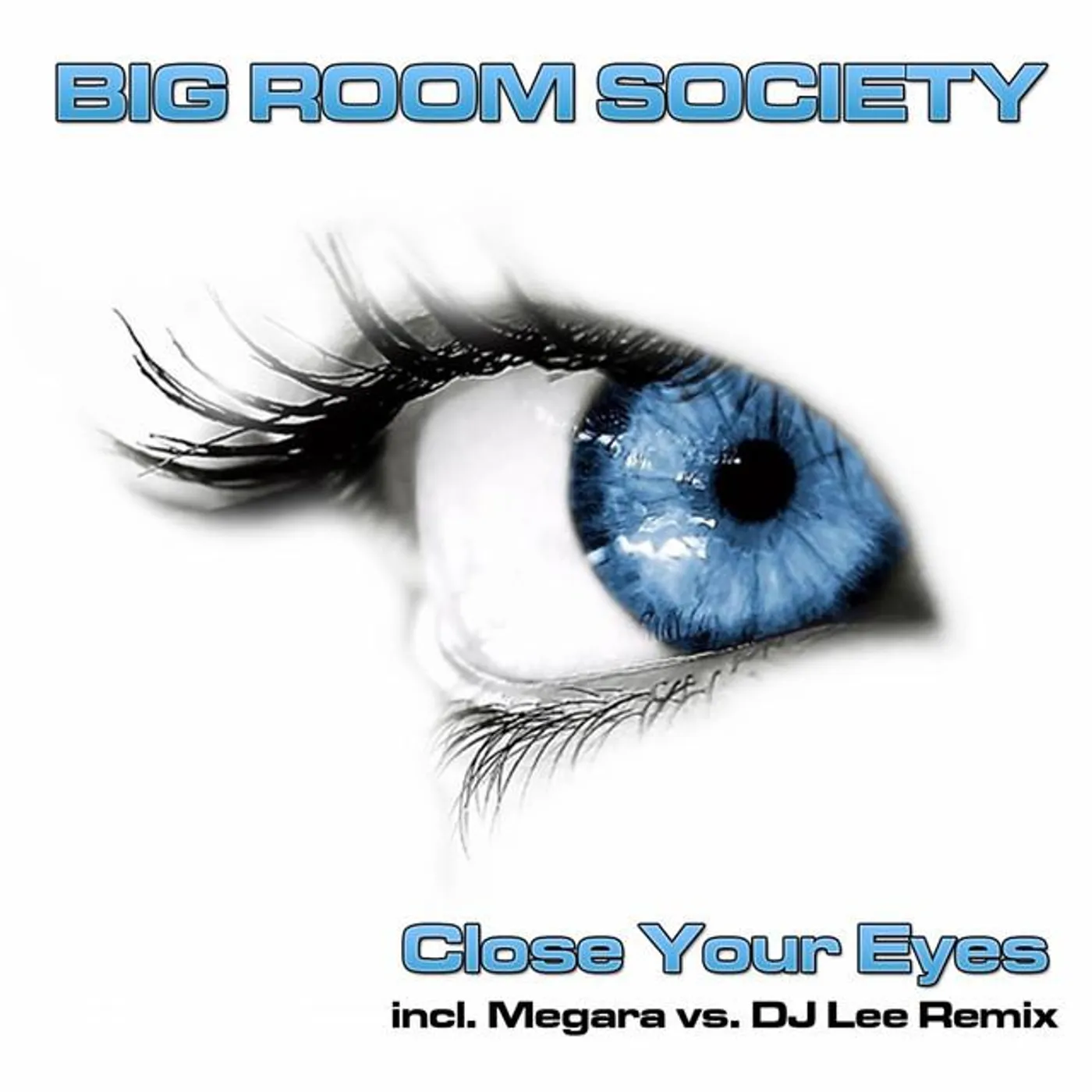 Big Room Society Brand Page