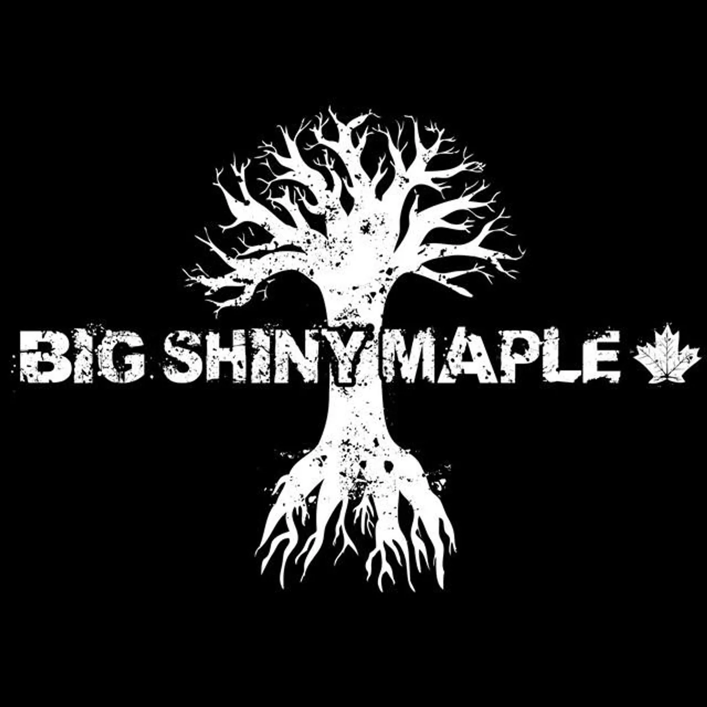 Big Shiny Maple Brand Page