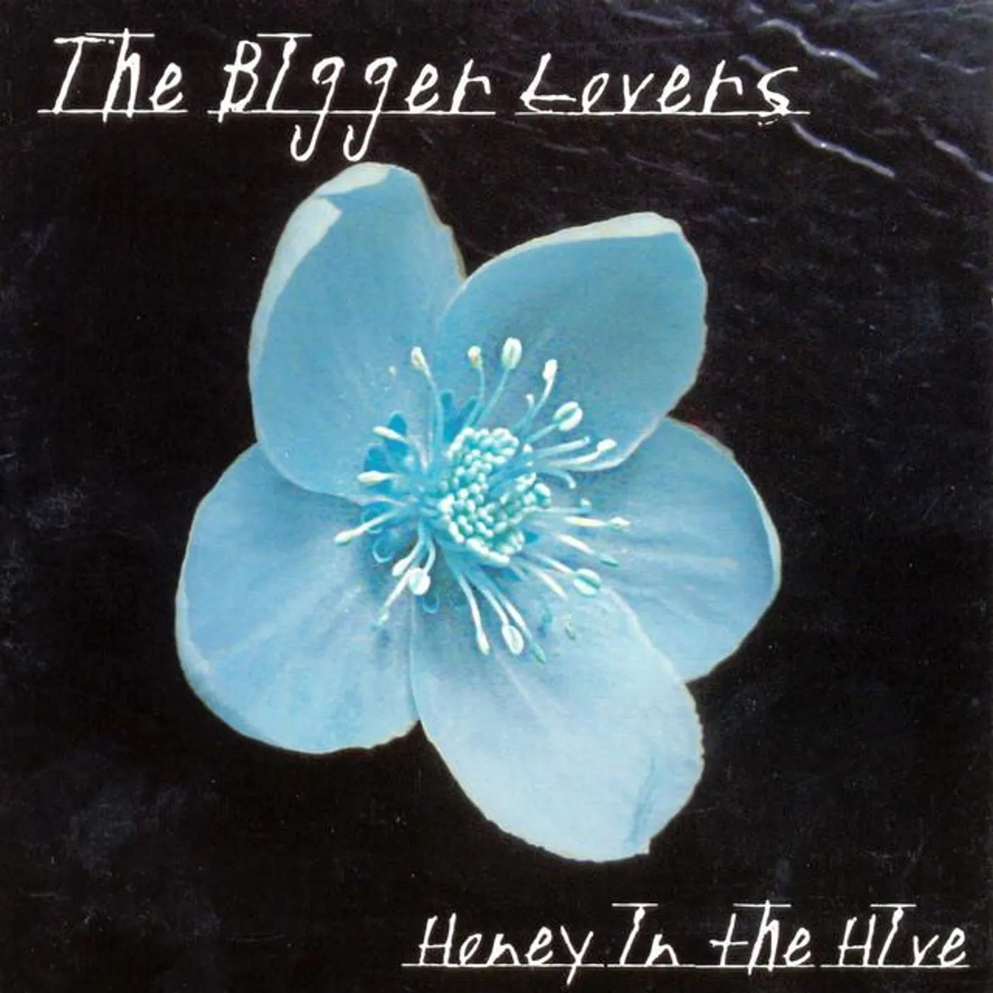 The Bigger Lovers Brand Page