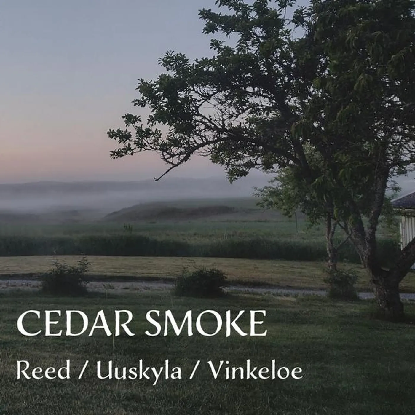 Biggi Vinkeloe Brand Page