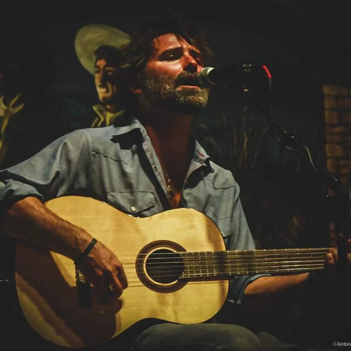 Bill Palmer Brand Page