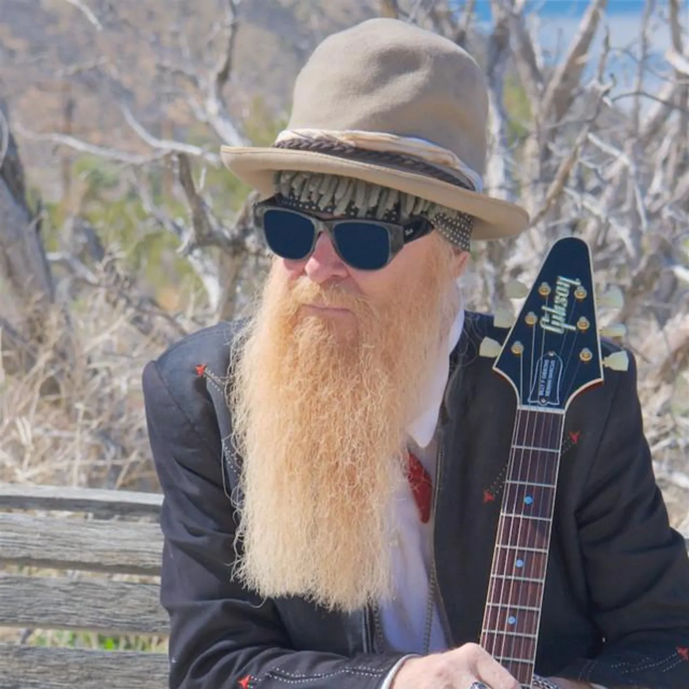 Billy F Gibbons Brand Page
