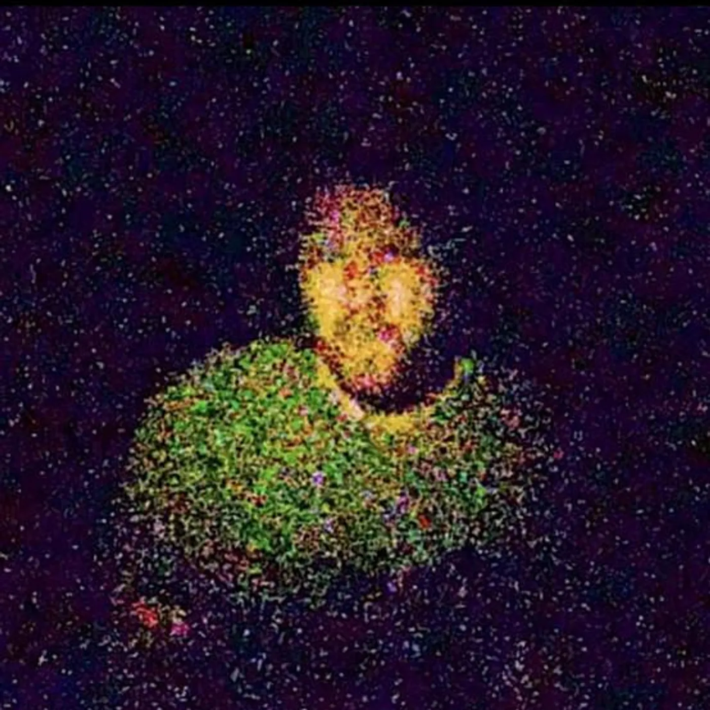 Billy Martin Brand Page