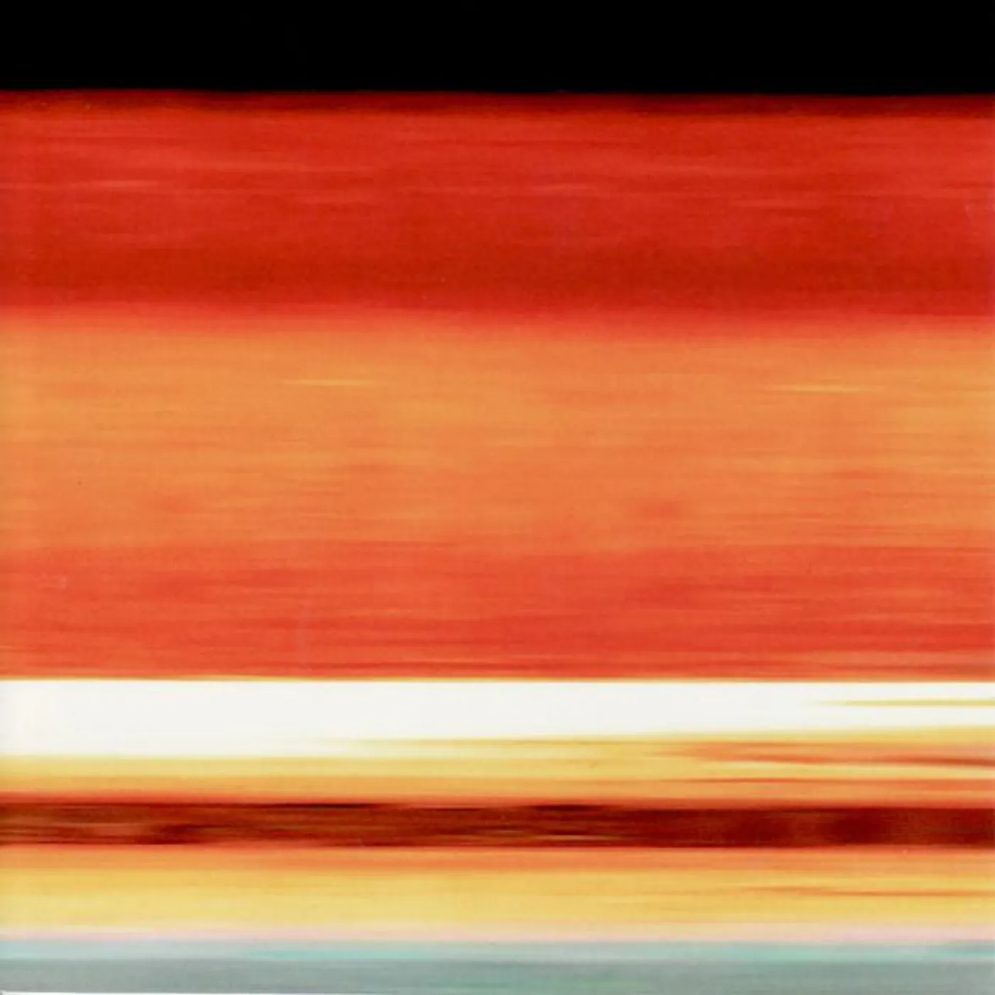 Birchville Cat Motel