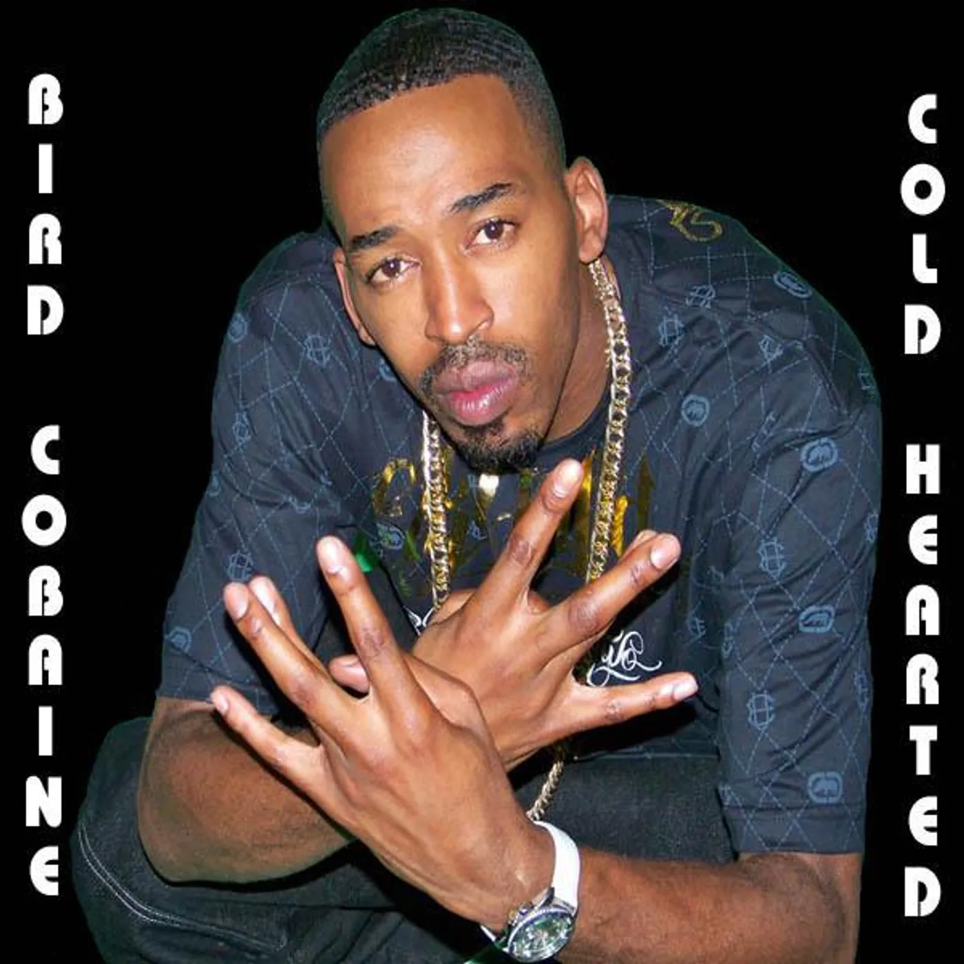 Bird Cobaine Brand Page