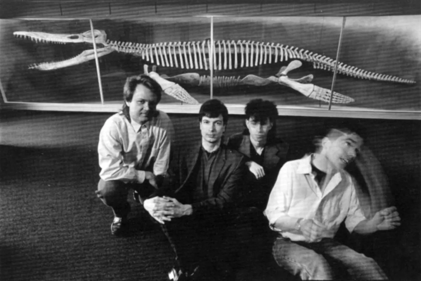 Birdsongs of the Mesozoic