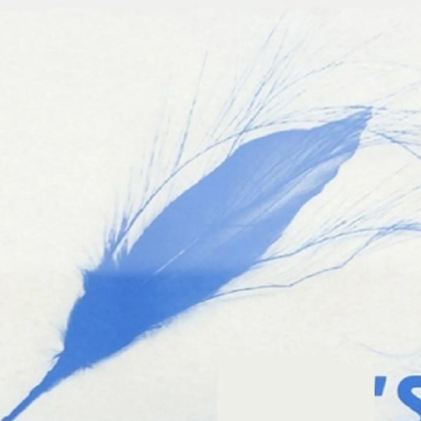 Blue Feather Brand Page