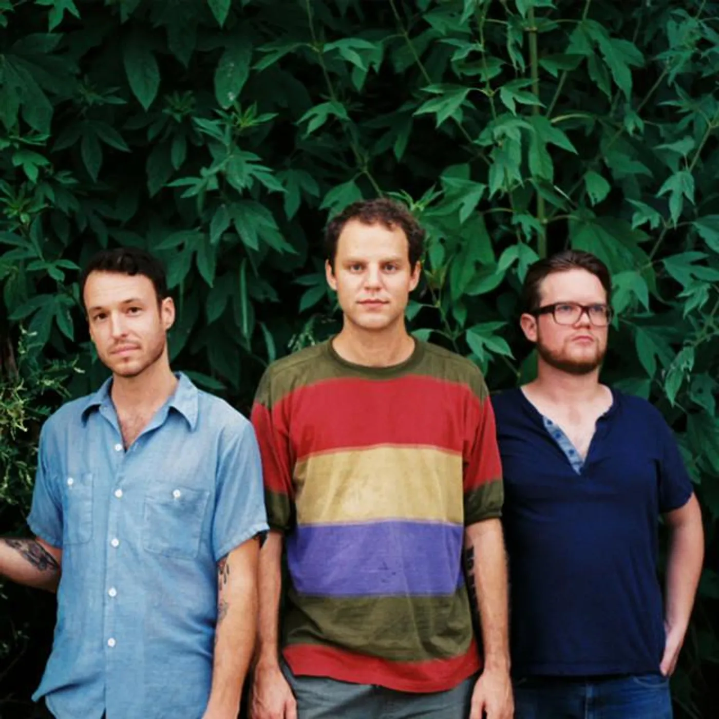 Blue Healer Brand Page