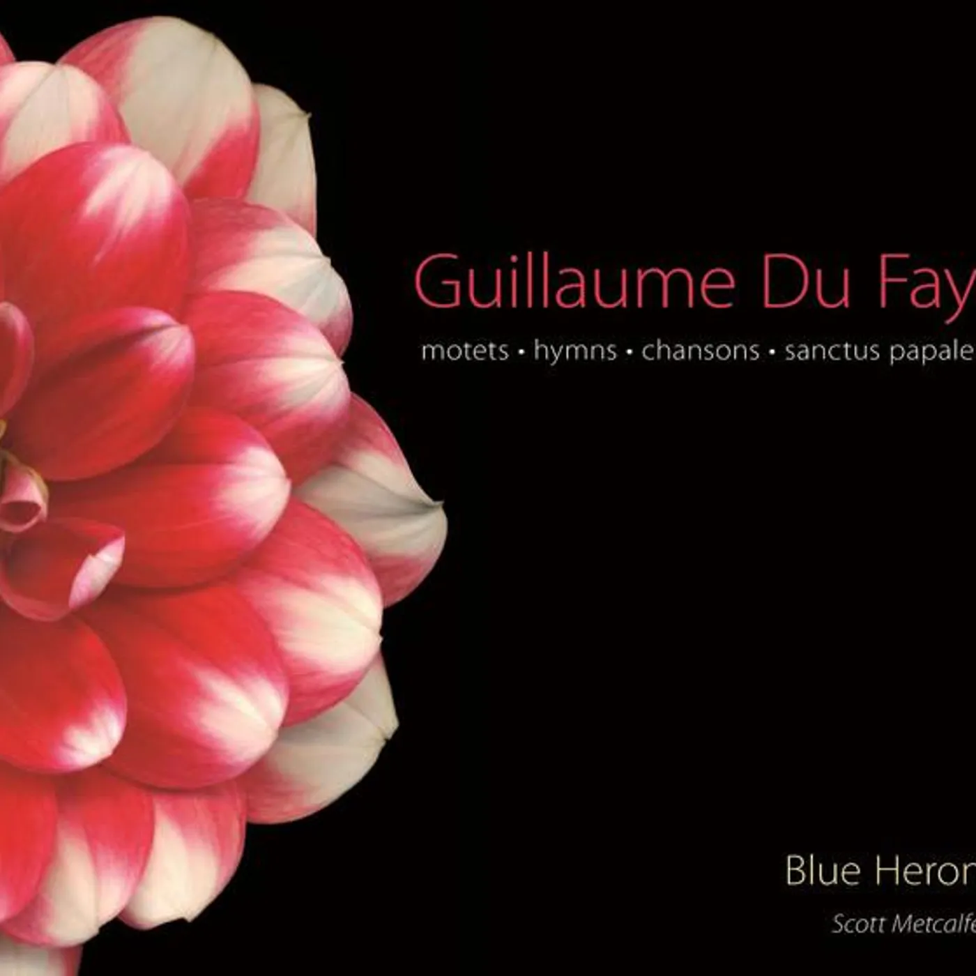 Blue Heron Brand Page