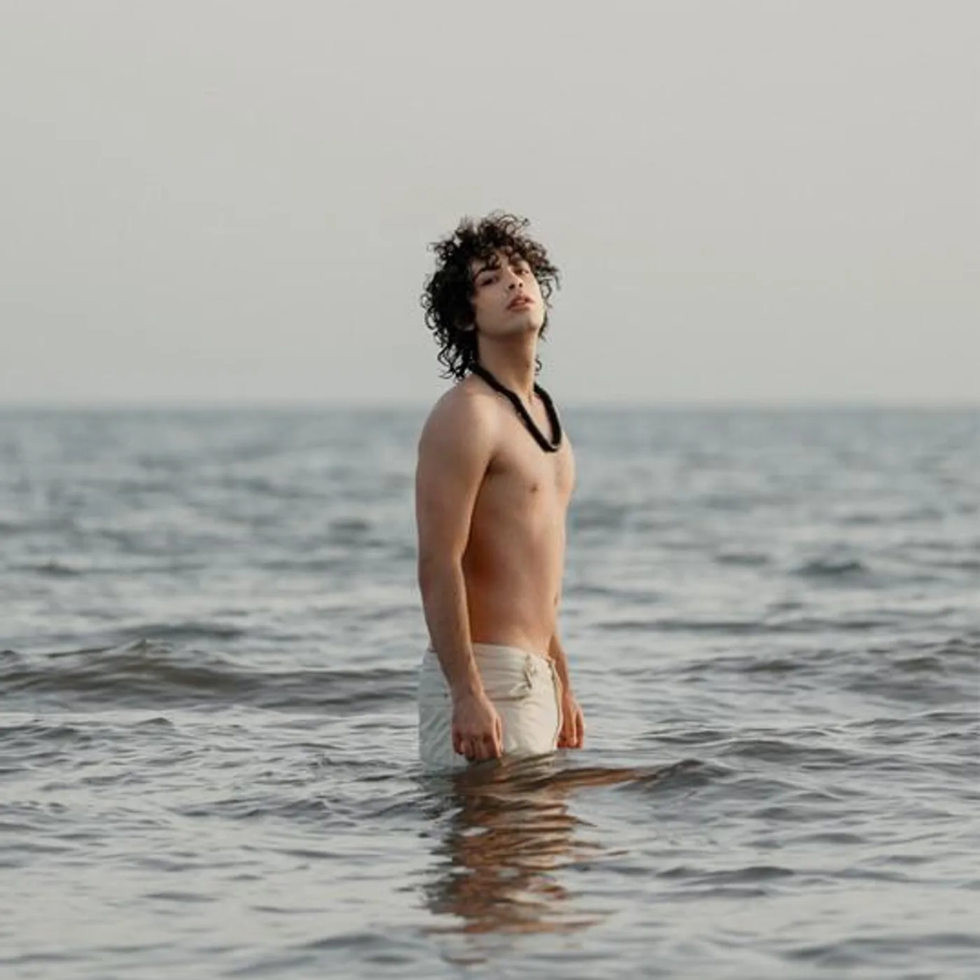 Blue Phelix Brand Page