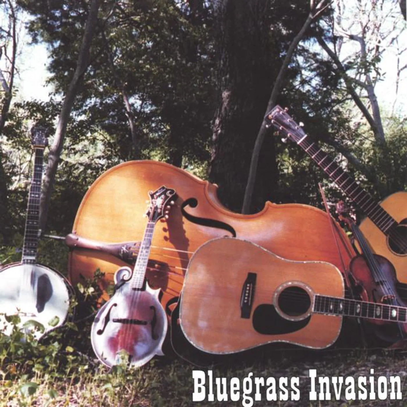 Bluegrass Invasion Brand Page