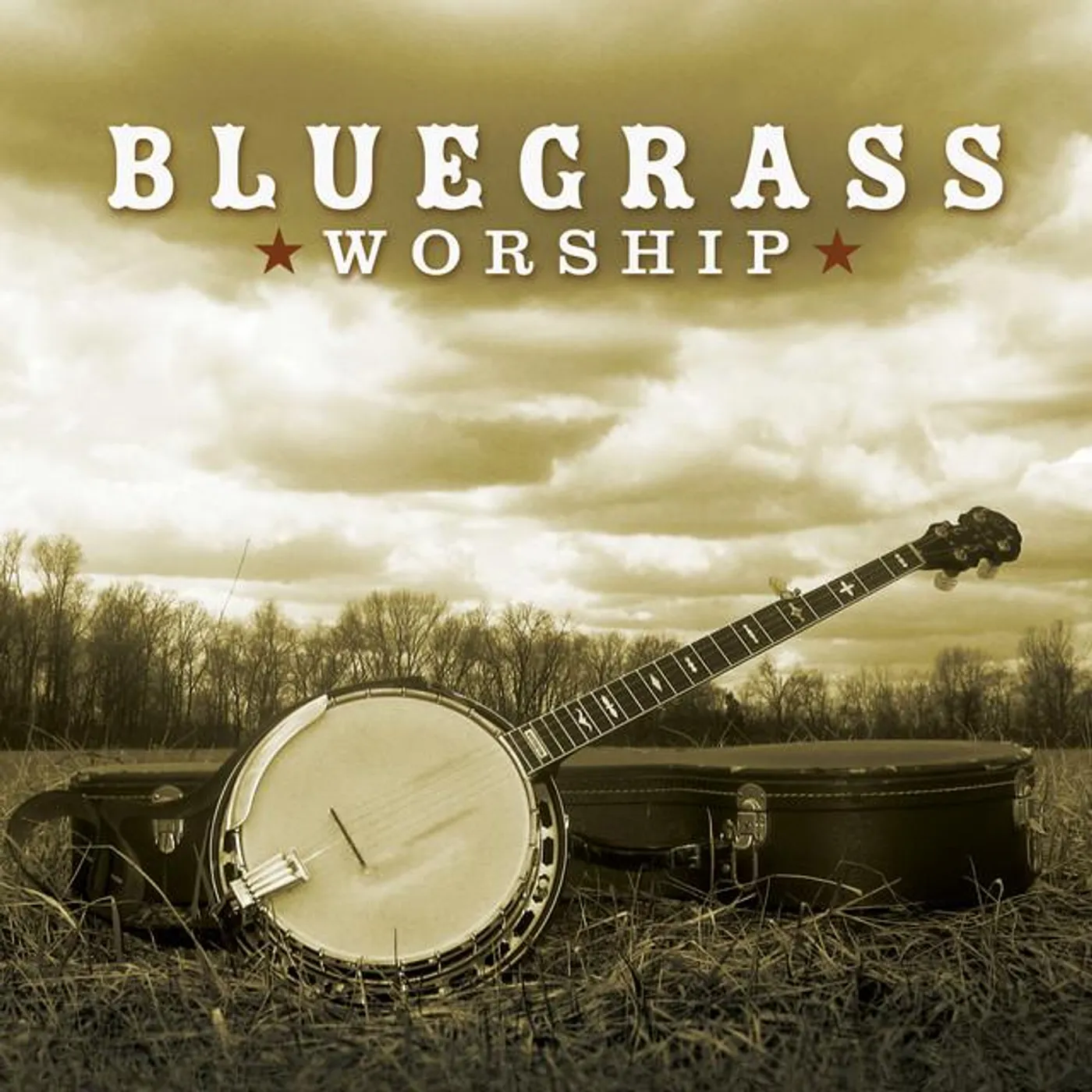 Bluegrass Worship Band