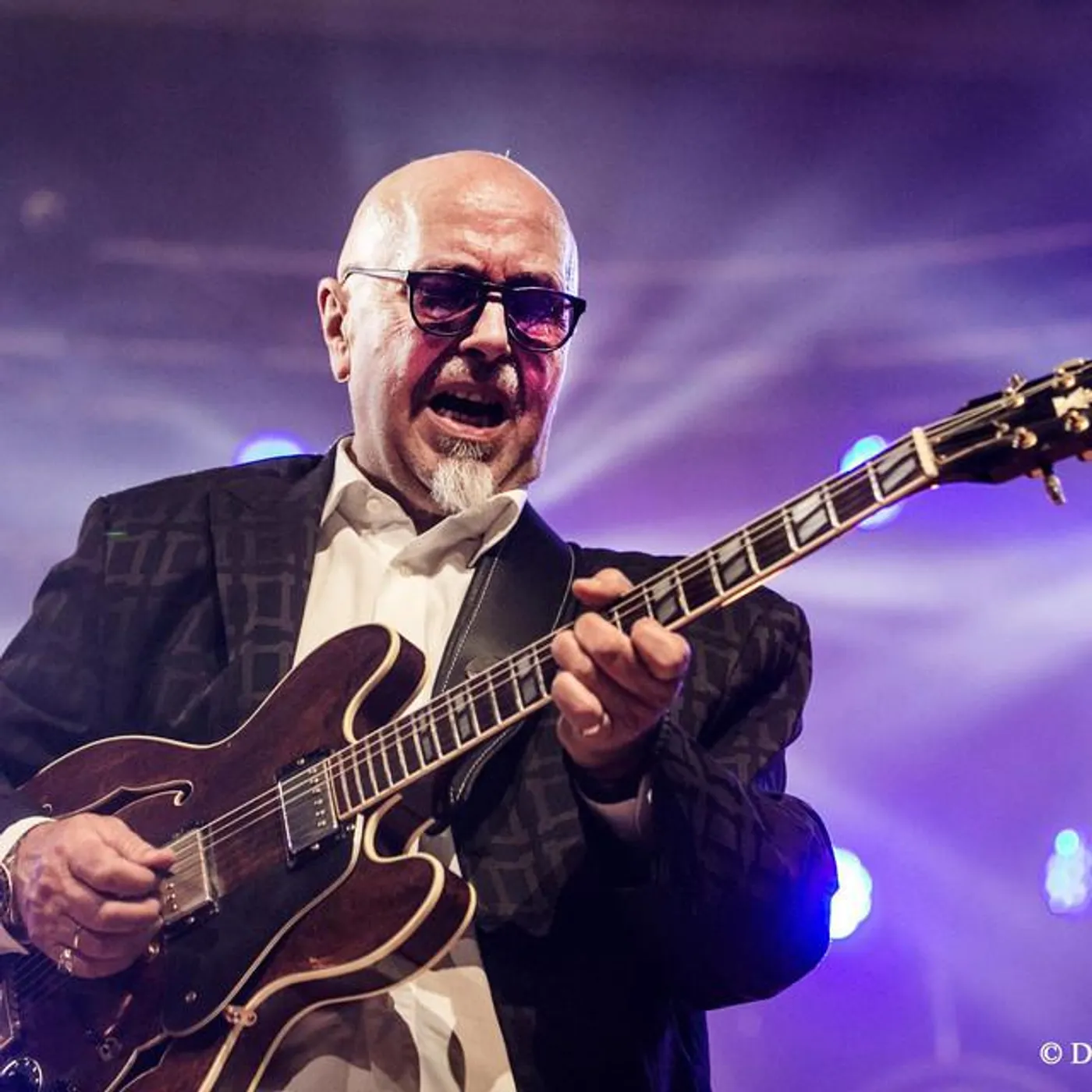 Blues Company Brand Page