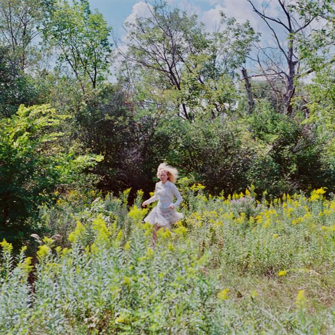 Blunt Chunks Brand Page