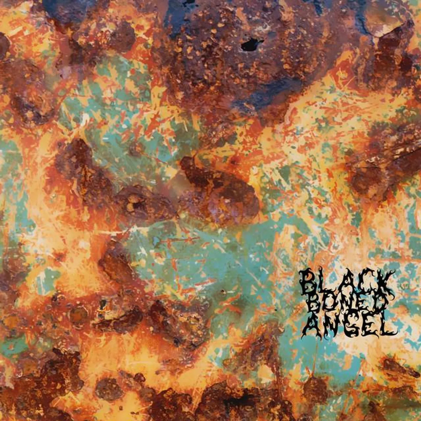 Black Boned Angel Brand Page