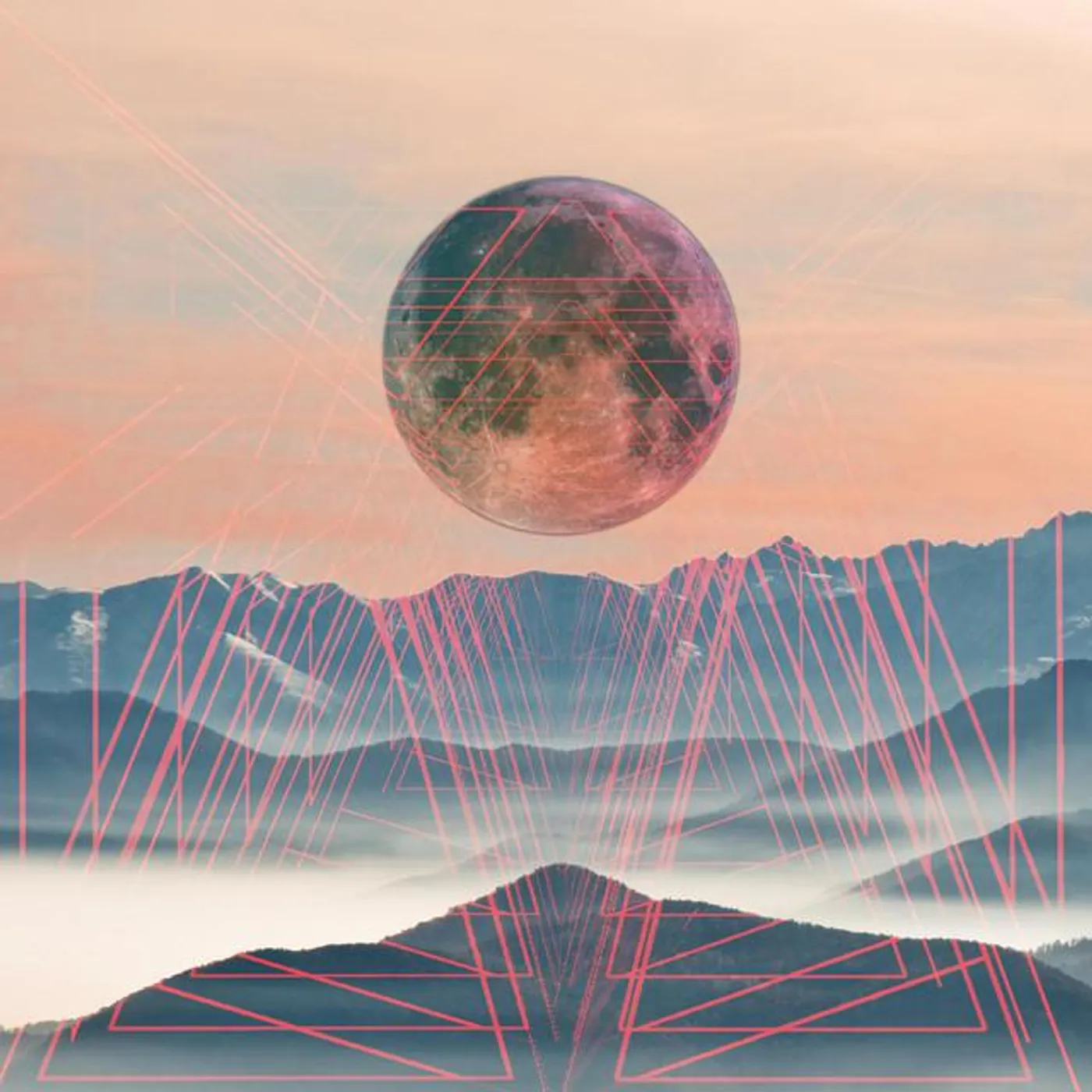 Black Bug Brand Page