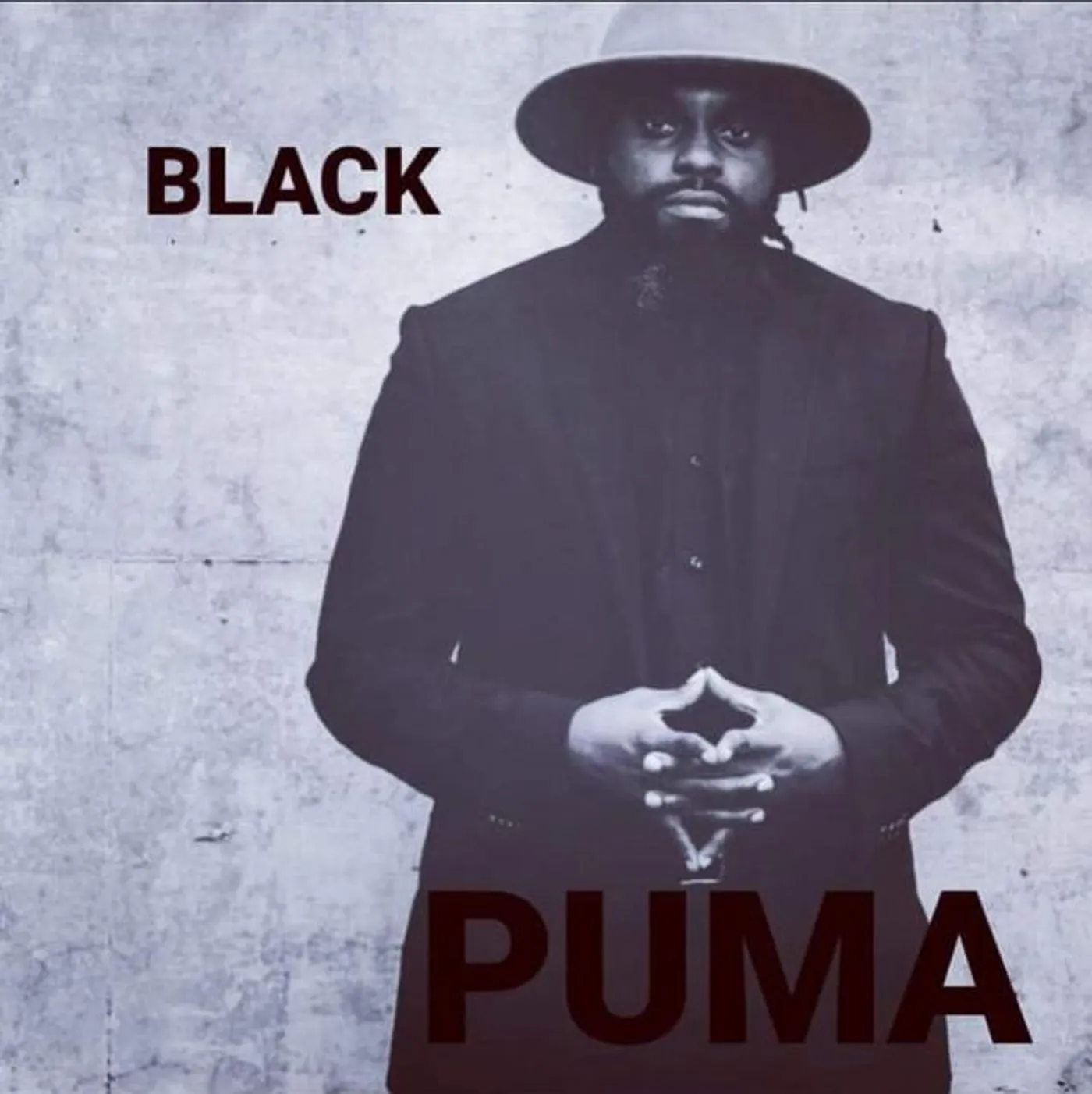 BLACK PUMA