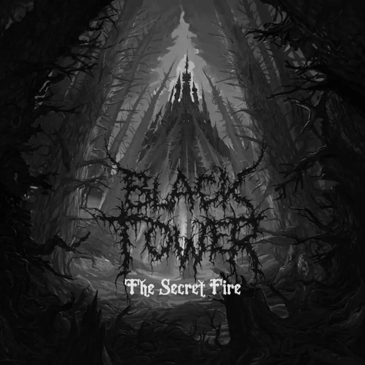Black Tower Brand Page