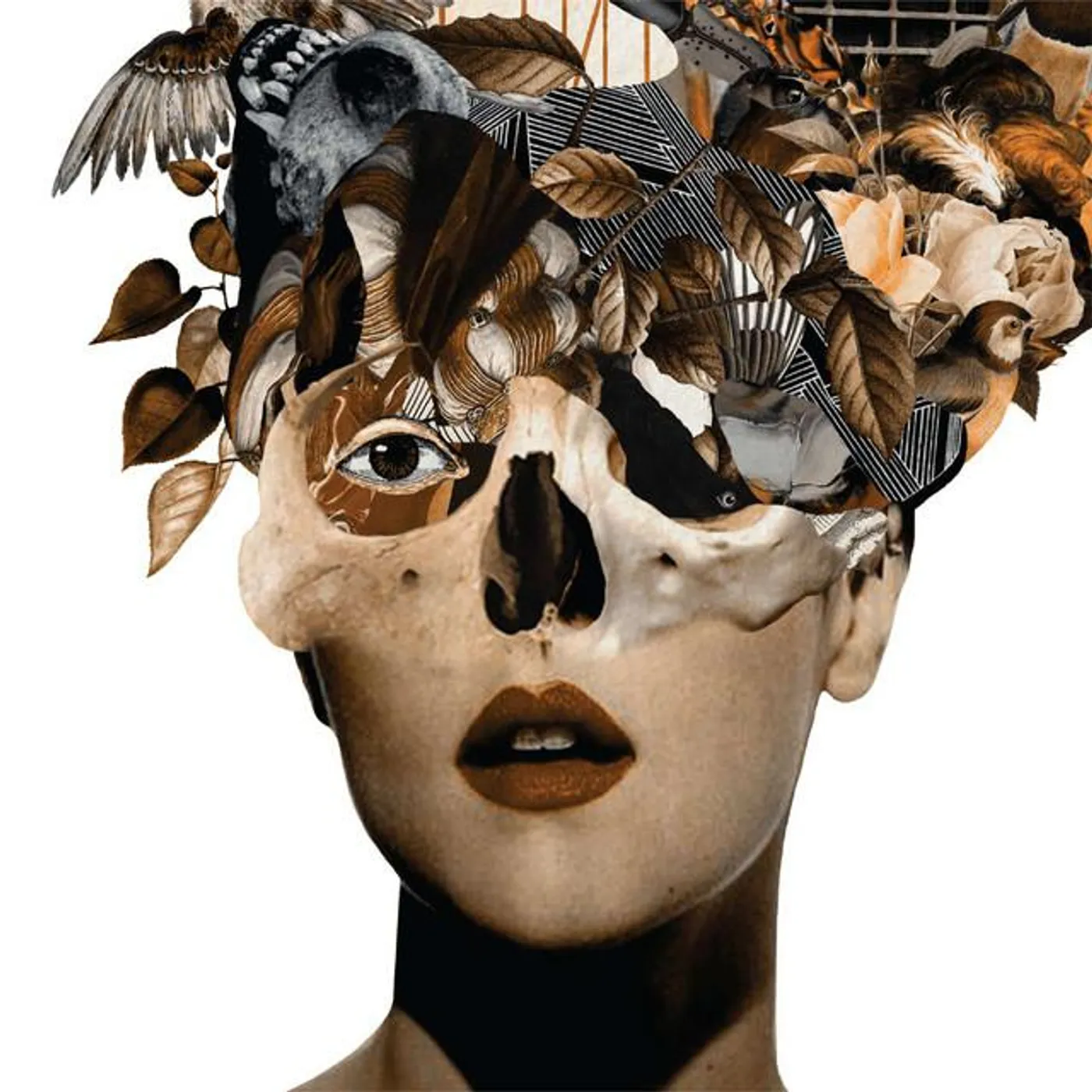 Blame Kandinsky Brand Page