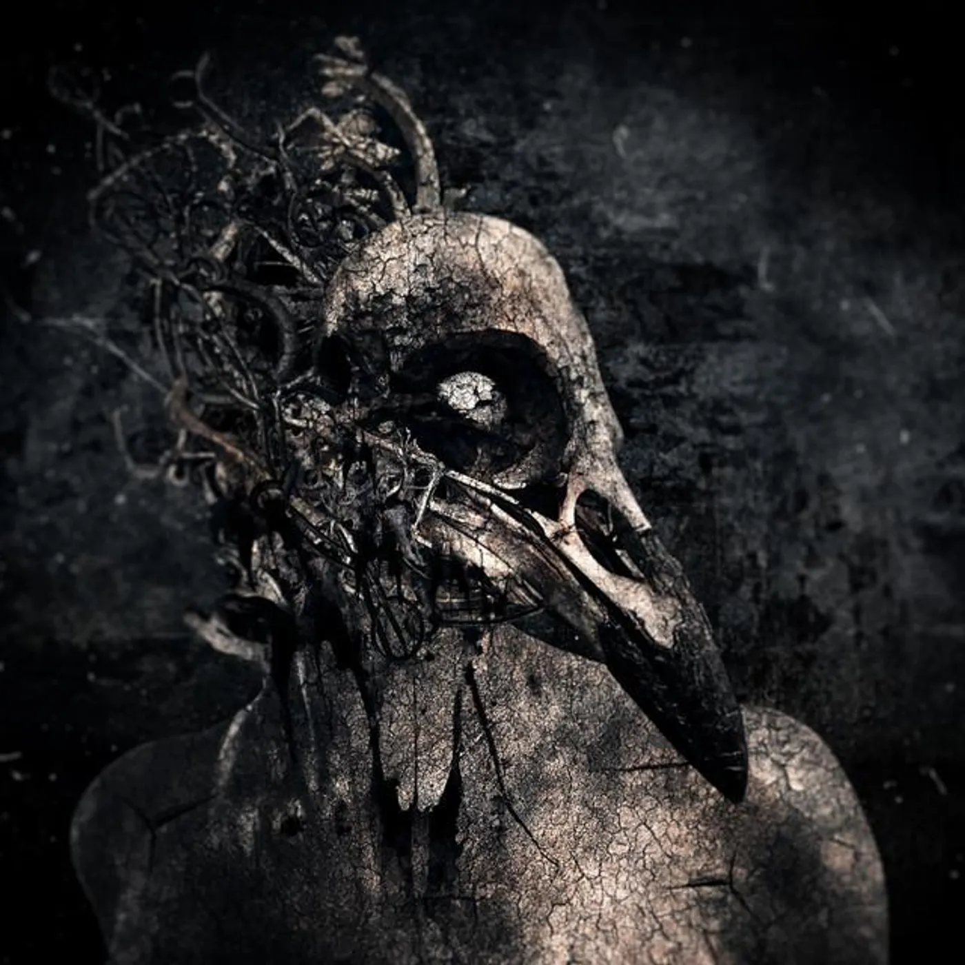 Blatant Disarray Brand Page