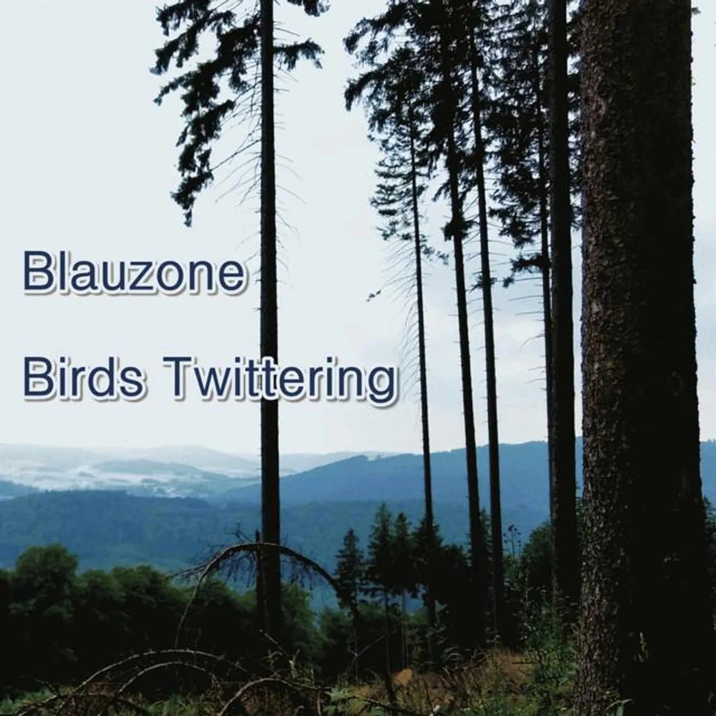 Blauzone