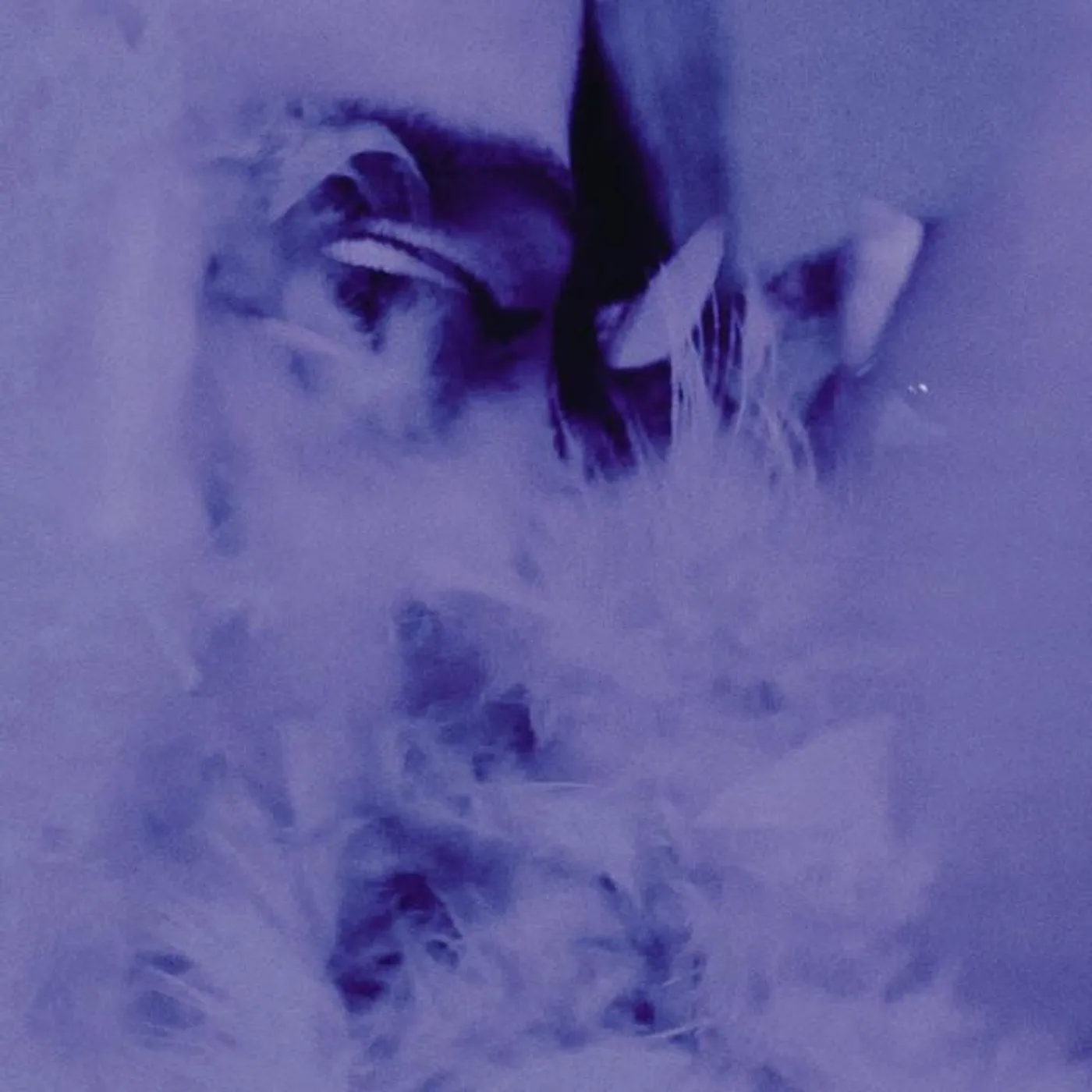 Blerta Kosova Brand Page