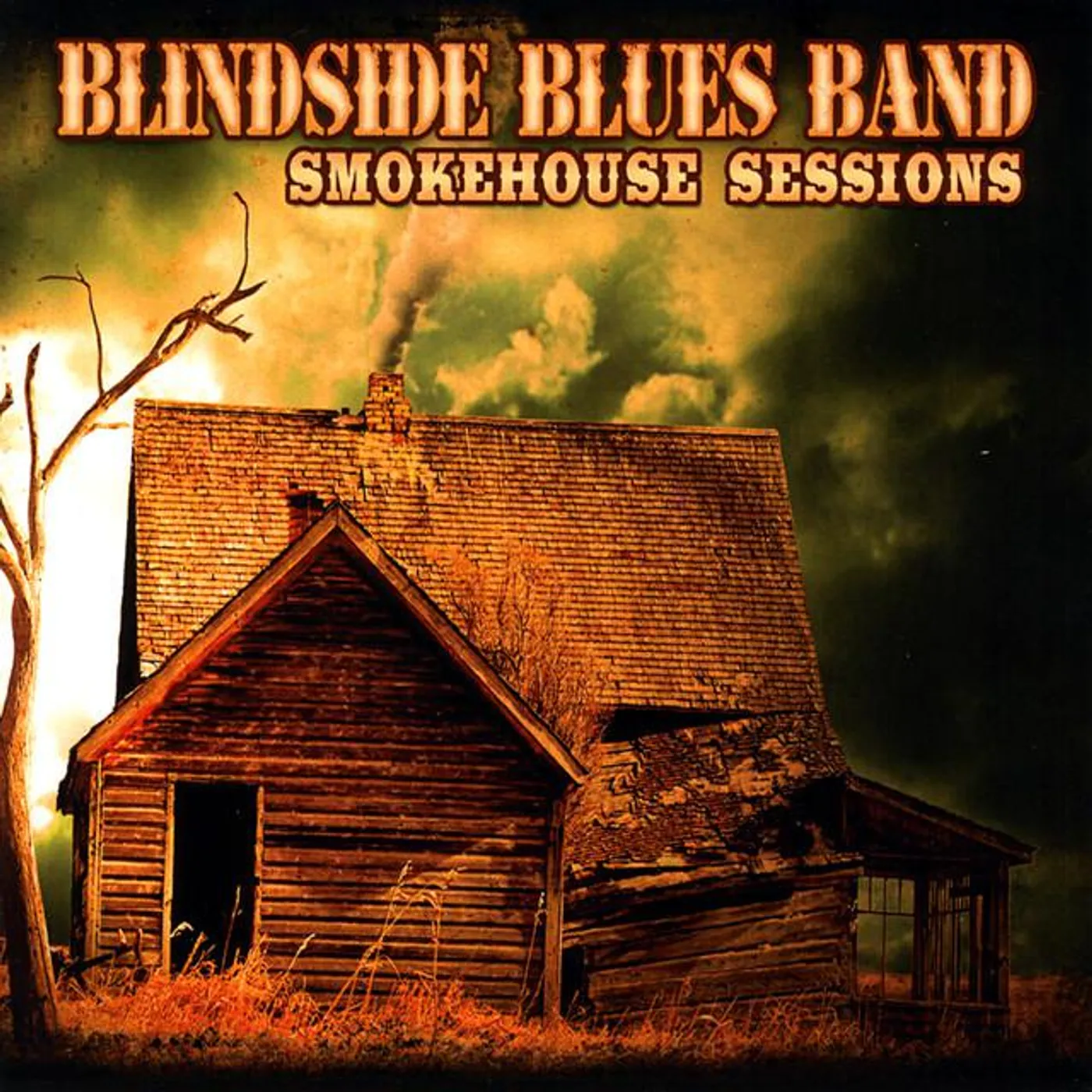 Blindside Blues Band Brand Page