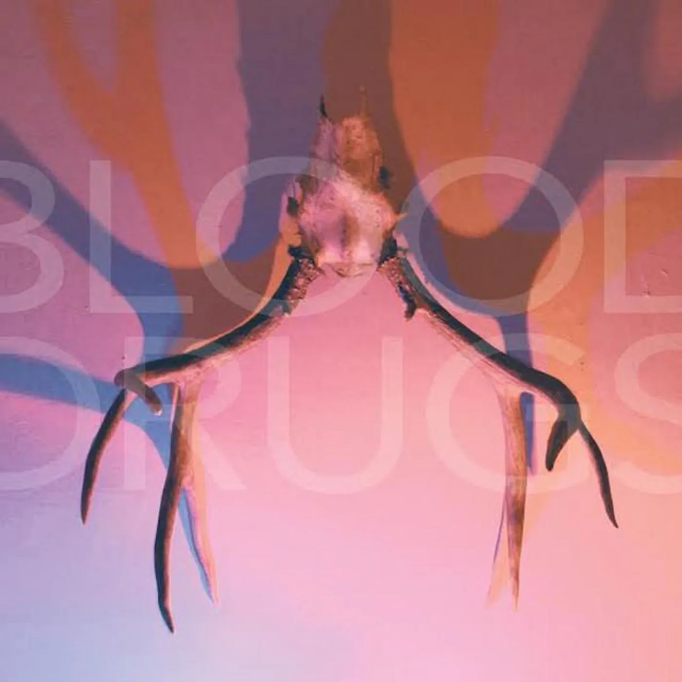 Blood Drugs Brand Page