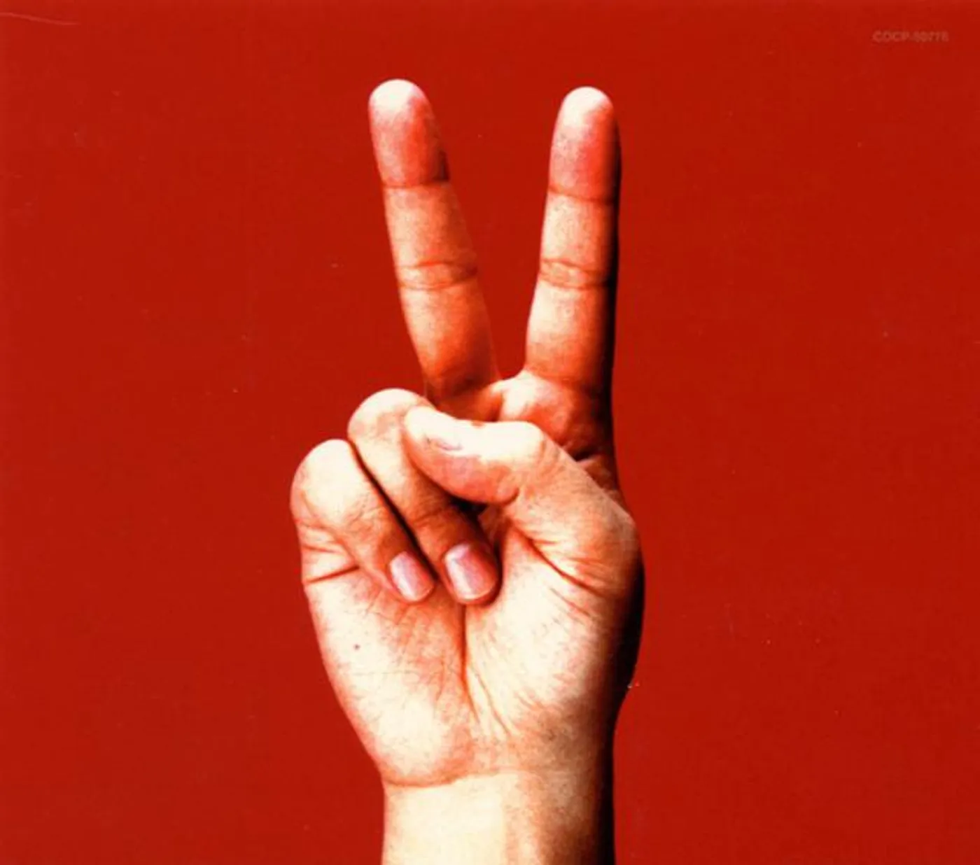 Bloodthirsty Butchers