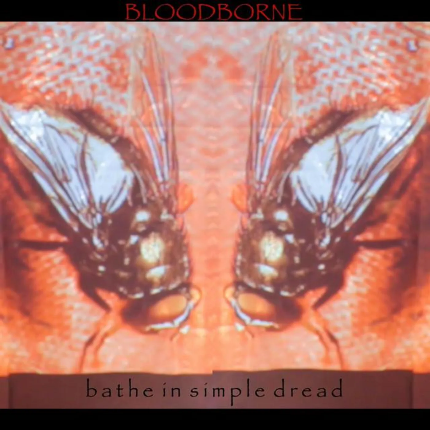 bloodborne