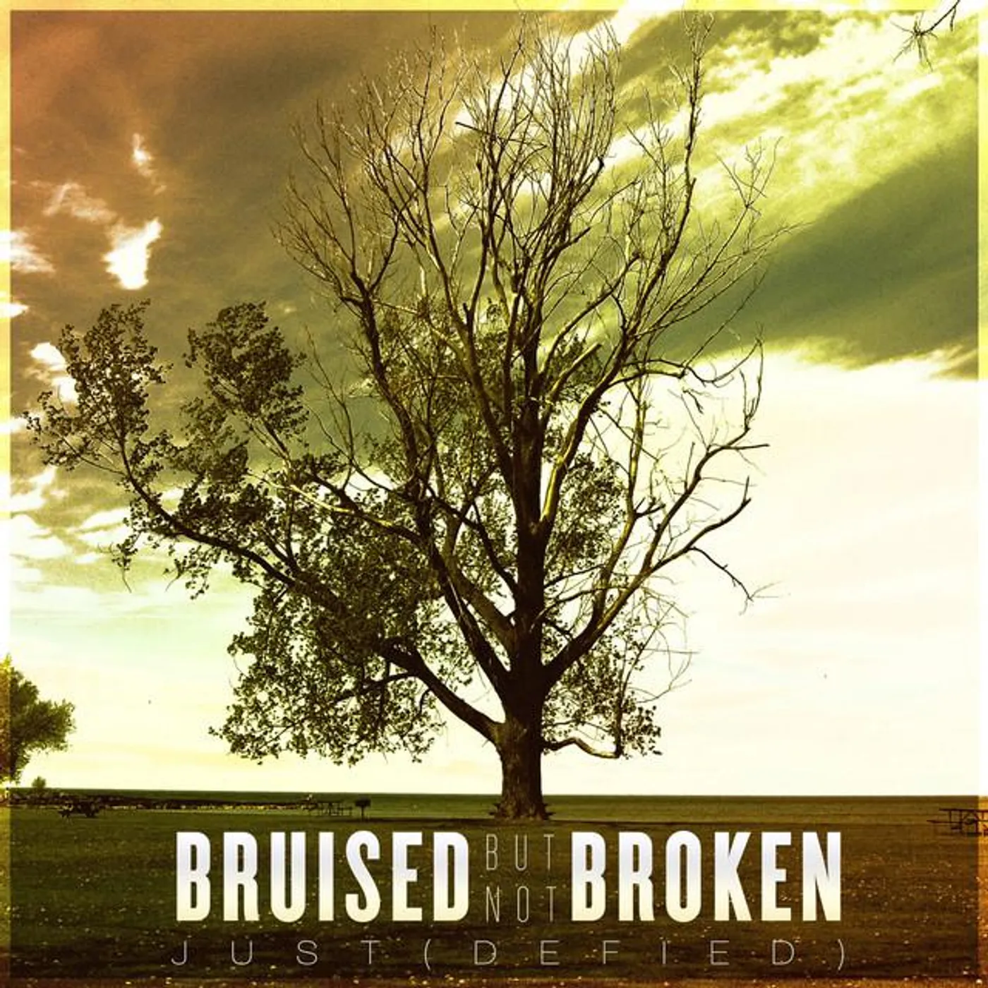Bruised But Not Broken Brand Page