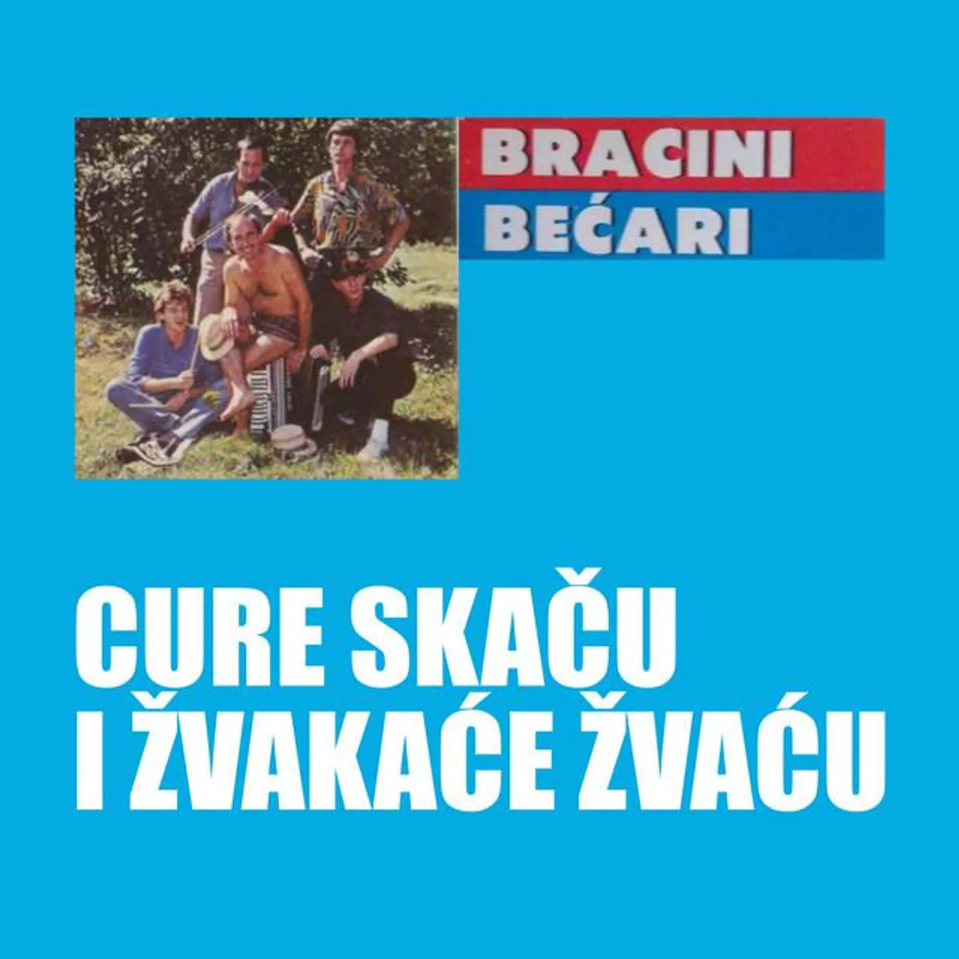 Bracini becari