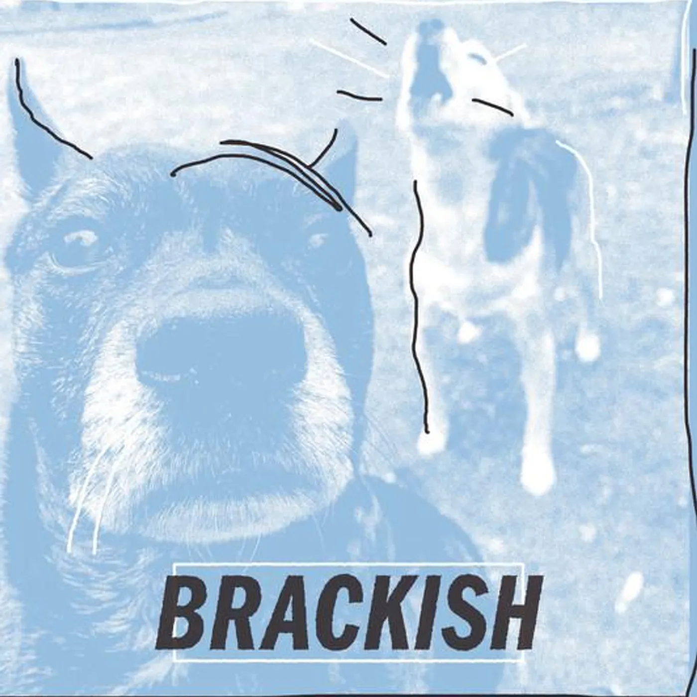 Brackish Brand Page