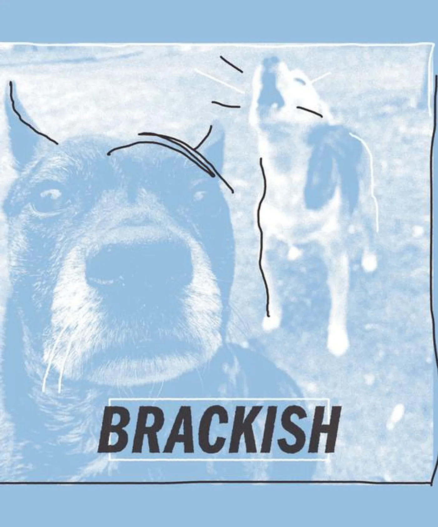 Brackish