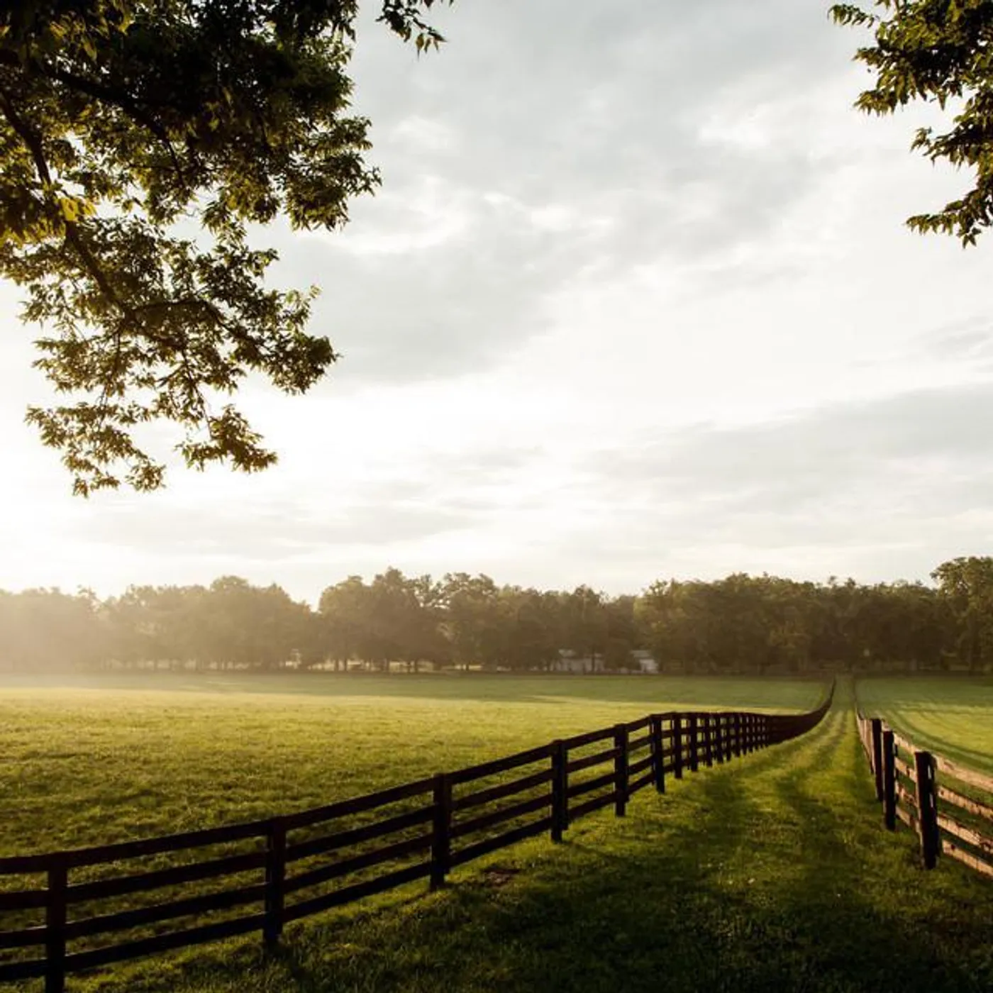 Bradden Myers Brand Page