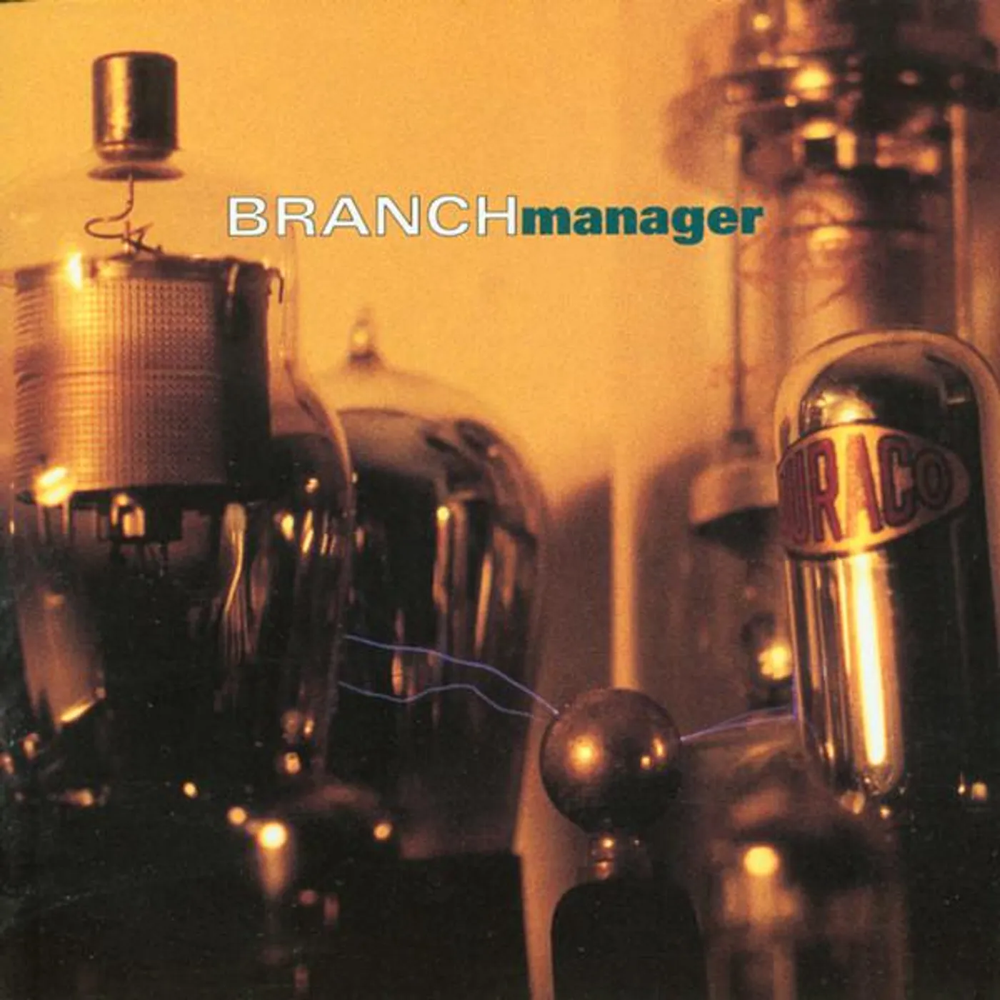 Branch Manager Brand Page